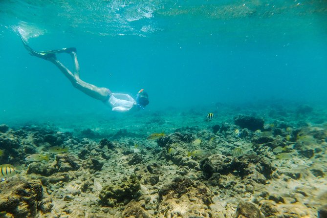 Kosi Bay Mouth Experience - Kayaking, Snorkeling, Fish Trap Tour and Fish Braai - Cancellation Policy
