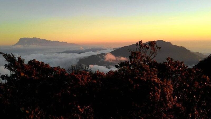 Kota Kinabalu : 2 Days 1 Nights Mount Trusmadi Shared Tour - Experience and Highlights