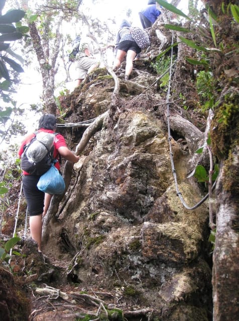 Kota Kinabalu : 2 Days 1 Nights Mount Trusmadi Shared Tour - Day 1 Highlights