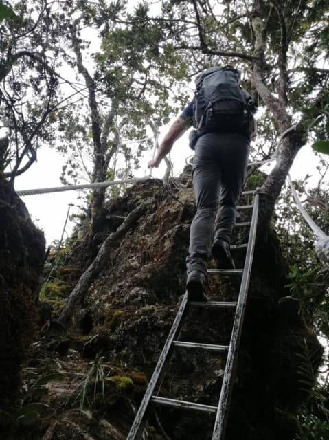 Kota Kinabalu : 2 Days 1 Nights Mount Trusmadi Shared Tour - Day 2 Highlights