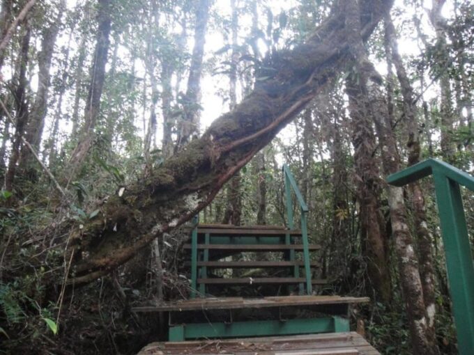 Kota Kinabalu : 2 Days 1 Nights Mount Trusmadi Shared Tour - Booking and Cancellation