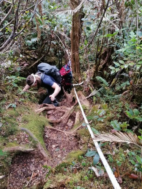 Kota Kinabalu : 2 Days 1 Nights Mount Trusmadi Shared Tour - Frequently Asked Questions
