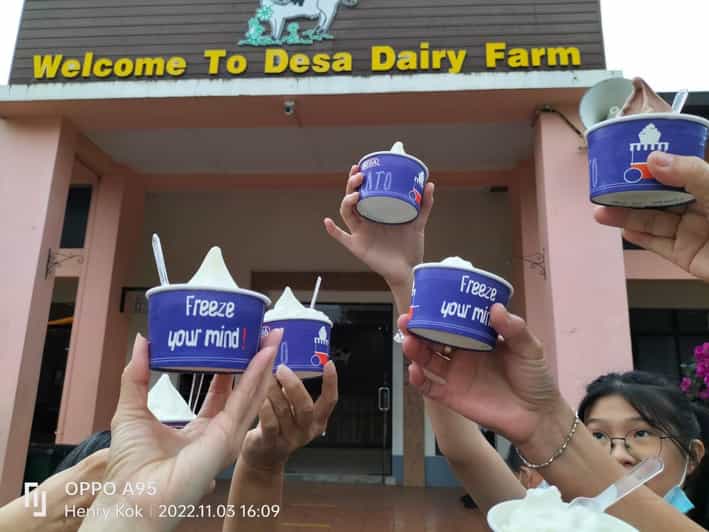 Kota Kinabalu : Kundasang Shared Tour Day Trip - Transportation Details