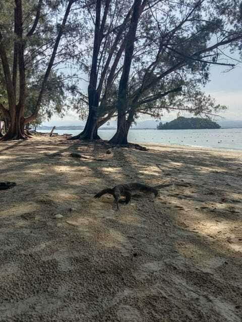 Kota Kinabalu: Manukan & Sapi Islands Snorkeling with Lunch - The Sum Up