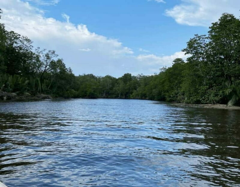 Kota Kinabalu: Mari Mari Village & Bongawan Cruise Package - Final Thoughts