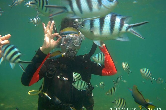 Kota Kinabalu P2 Private Island Scuba Discovery Tour + BBQ Lunch - Key Points