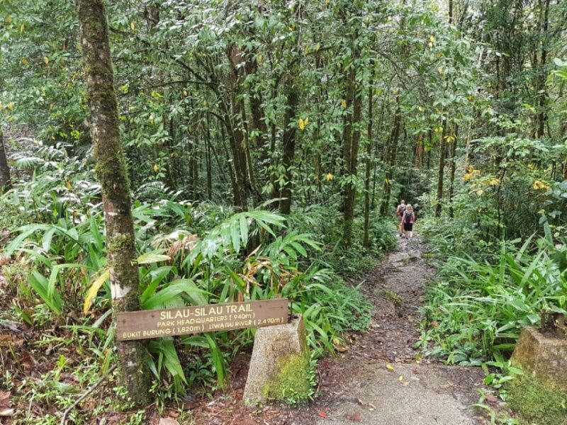 Kota Kinabalu: Private Kundasang and Poring Hot Spring Tour - Itinerary Highlights