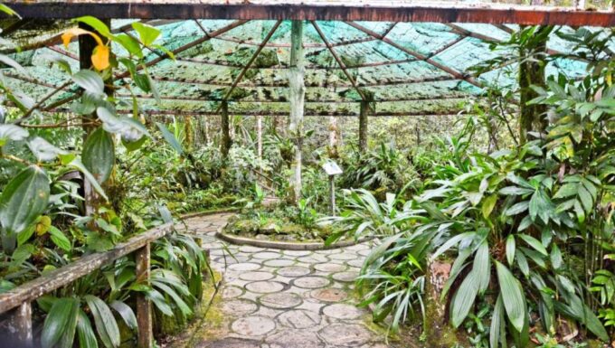 Kota Kinabalu: Private Kundasang and Poring Hot Spring Tour - Kinabalu Park