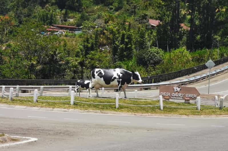 Kota Kinabalu: Private One-Way Airport or City Transfer - Key Points
