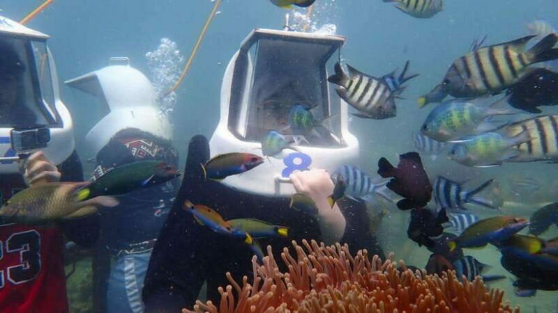 Kota Kinabalu: Snorkeling & Island Hopping Sapi & Manukan - Final Thoughts: Is It Worth It?