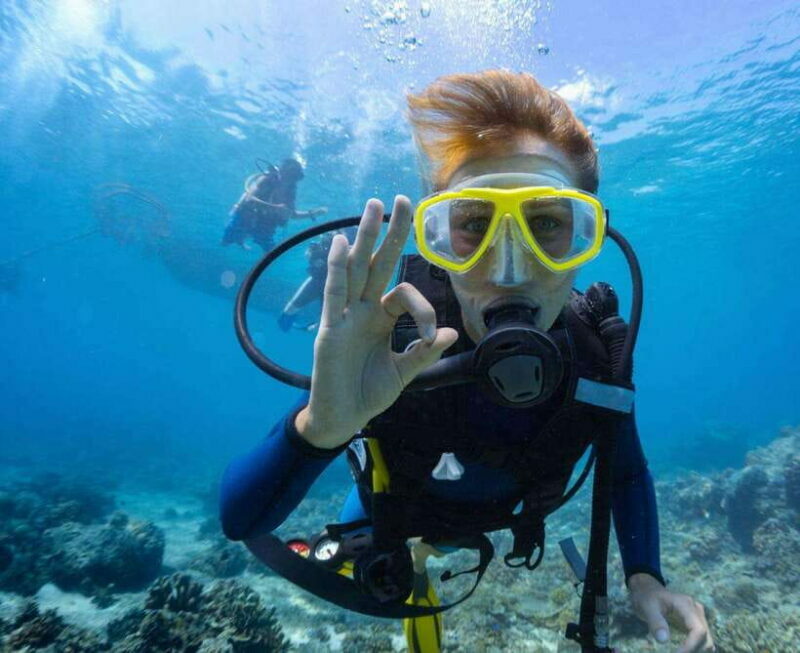 Kota Kinabalu: Snorkeling & Island Hopping Sapi & Manukan - FAQ: Your Questions Answered