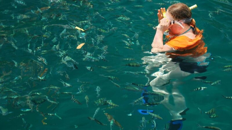 Kota Kinabalu: Snorkeling & Island Hopping Sapi & Manukan - Activity Overview