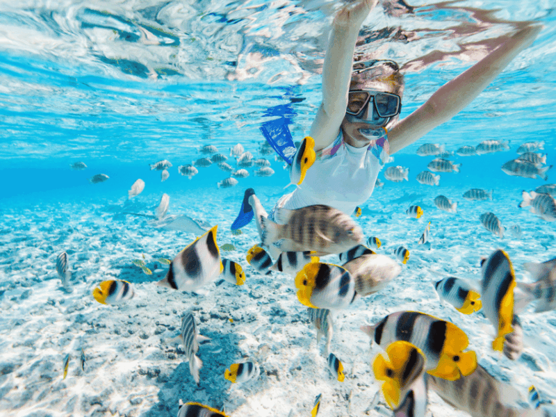Kota Kinabalu | Snorkeling Sapi Island/Manukan Island - Customer Feedback
