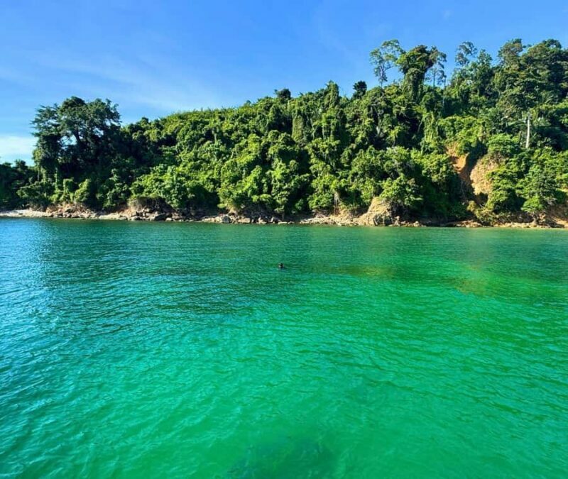 Kota Kinabalu: Snorkle from Catamaran with Meal & Activities - What to Expect from This Kota Kinabalu Snorkeling Adventure