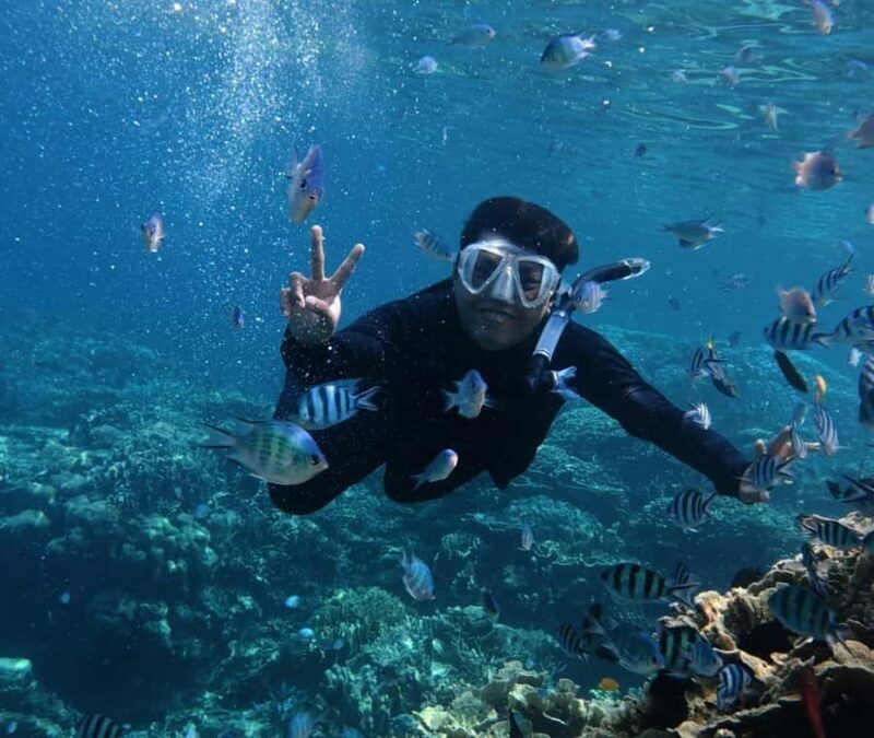 Kota Kinabalu: Snorkle from Catamaran with Meal & Activities - Authentic Experiences from Reviews