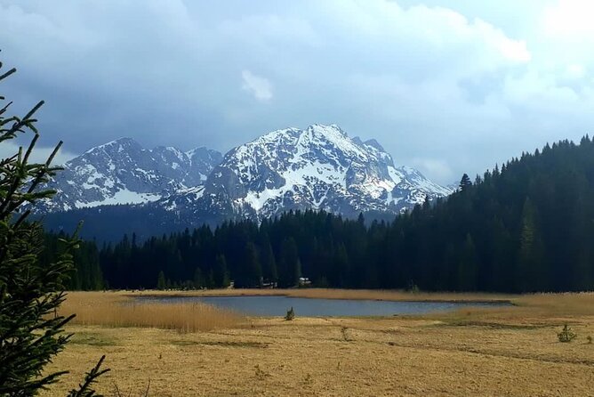 Kotor to Durmitor - Black Lake & Djurdjevica Tara Bridge Tour - Optional Zip Line Activity