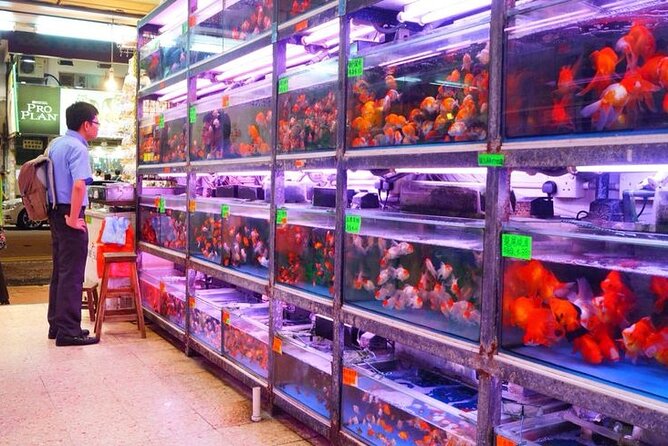 Kowloon Tour + Fun Tasting () | 100+ Booked - Exploring Kowloons Vibrant Markets