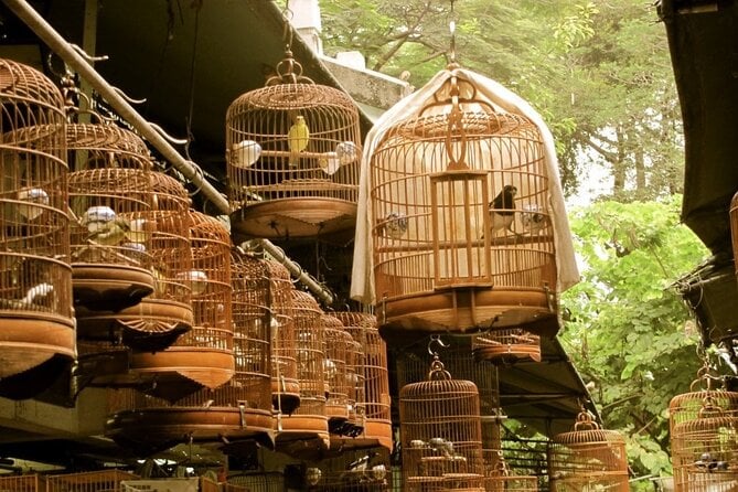 Kowloon Tour + Fun Tasting () | 100+ Booked - Indulging in Local Cuisine
