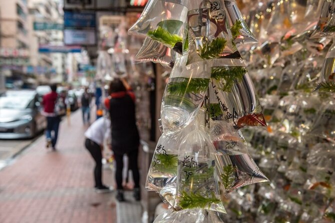 Kowloon Walking Tour on the Dark Side of Hong Kong - Experiencing the Realities of Hongkongers