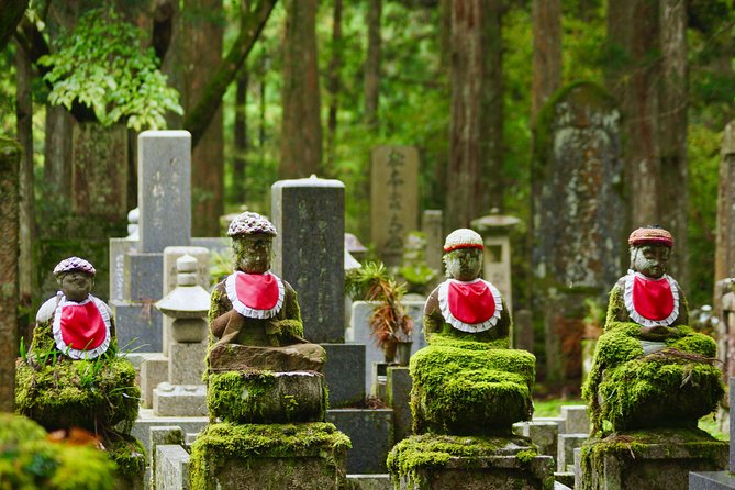 Koyasan Full-Day Private Tour - Spiritual Retreat Town