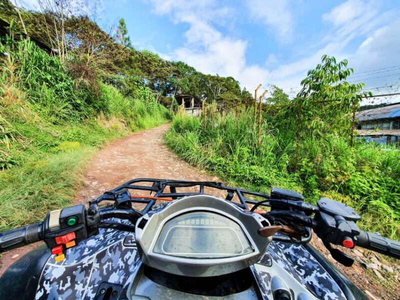 Krabi: 1-Hour ATV Adventure Through Beautiful Nature - Exploring Mountain and Forest Views