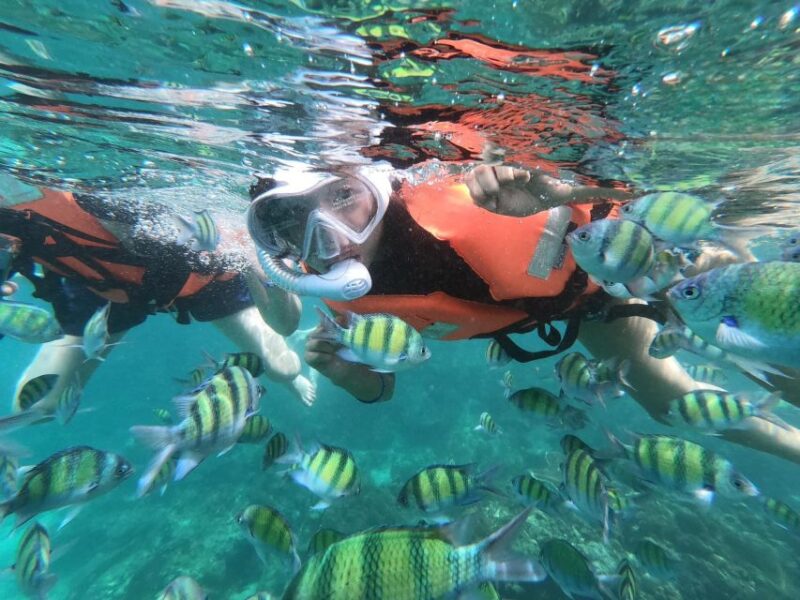 Krabi 4 Island One Day Tour by Speed Boat or Longtail Boat - Customer Feedback