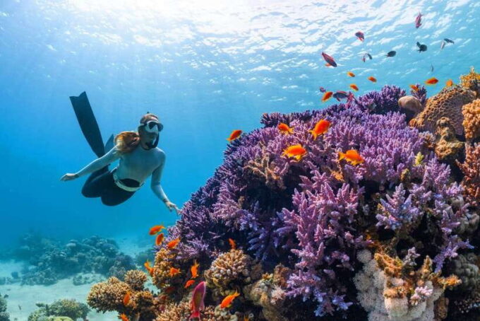 Krabi: 7 Islands Sunset Tour With Plankton Swim and BBQ - Unique Experience at Tup Island