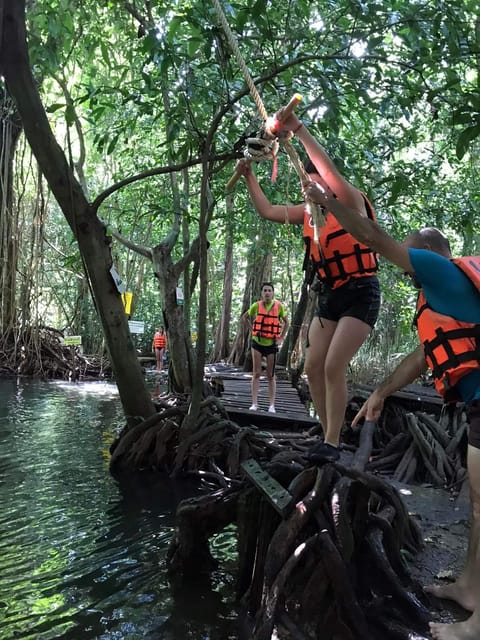 Krabi: Amazon Klong Srakaew Kayaking And Elephant Feeding - Feeding and Interacting With Elephants