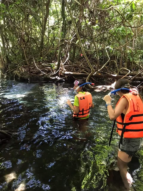 Krabi: Amazon Klong Srakaew Kayaking With Lunch - Key Points