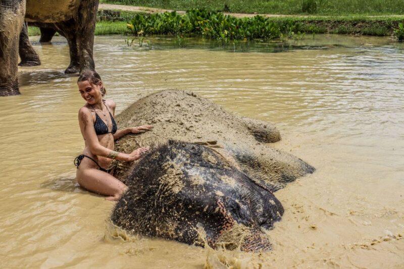 Krabi: Ao Nang Elephant Sanctuary Half-Day Tour - Key Points