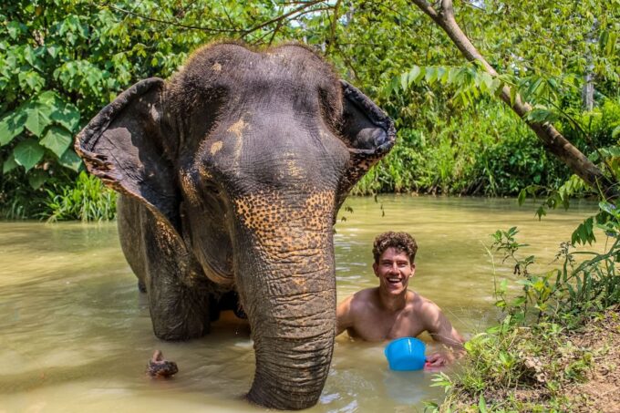 Krabi: Ao Nang Elephant Sanctuary Half-Day Tour - Elephant Rescue Stories