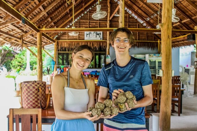 Krabi: Ao Nang Elephant Sanctuary Half-Day Tour - Mud Spa Day With Elephants