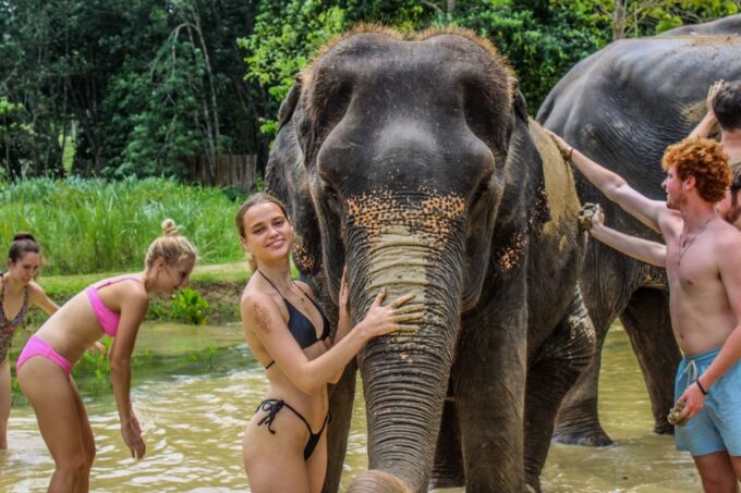 Krabi: Ao Nang Elephant Sanctuary Half-Day Tour - Frequently Asked Questions