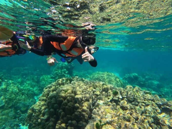 Krabi Aonang: Koh Rok & Koh Haa Snorkelling Day Trip + Lunch - Since You Asked