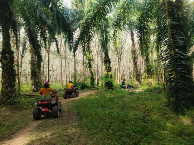 Krabi : ATV Jungle Adventure With Round Trip Transfer - Key Points