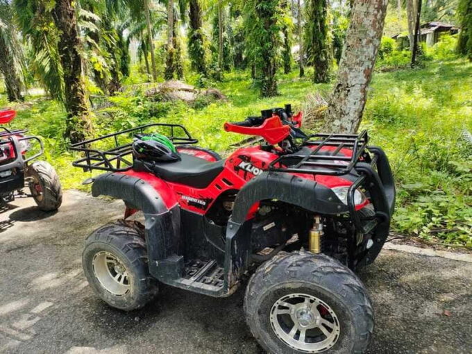 Krabi : ATV Jungle Adventure With Round Trip Transfer - Suitability for Beginners and Experienced Riders