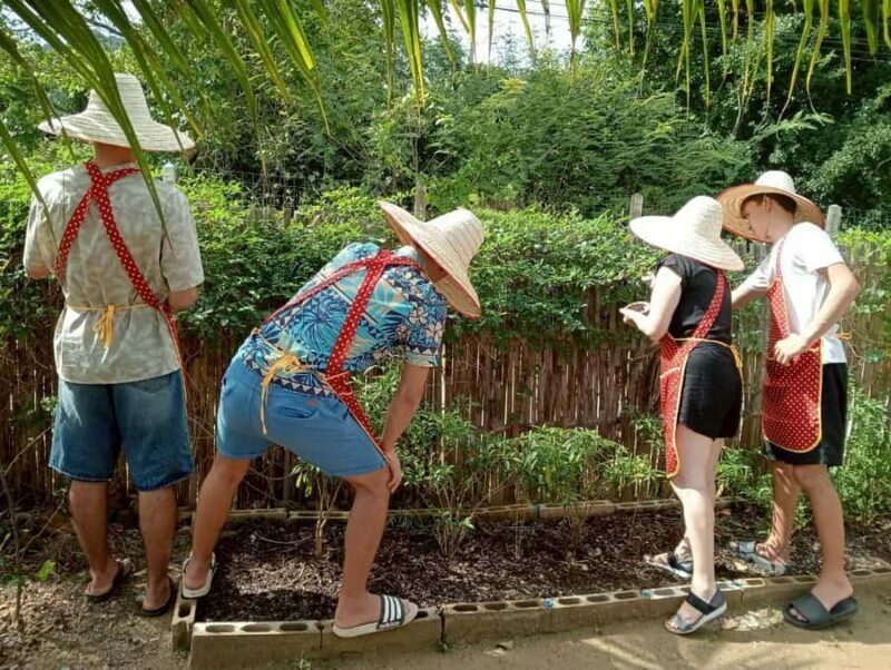 Krabi: Authentic Thai Cooking Class & Local Market Tour - How This Tour Stacks Up