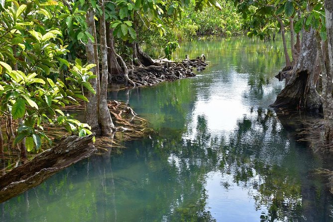 Krabi Countryside Eco Cycling Tour - Multiple Trails - Activity Details