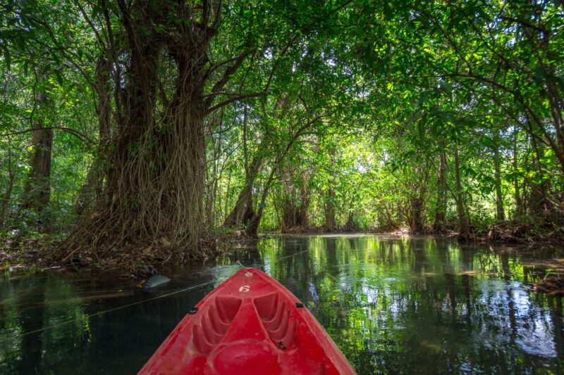 Krabi: Crystal Lagoon Kayaking and Horseback Riding Day Trip - Highlights of the Experience