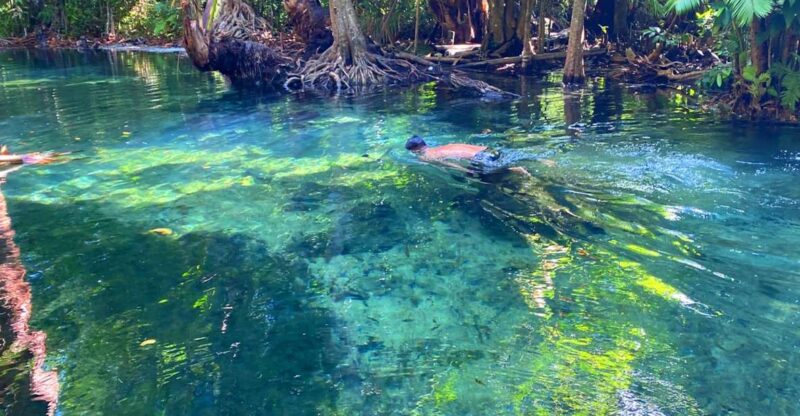 Krabi: Crystal Lagoon Kayaking and Horseback Riding Day Trip - Kayaking in the Crystal Lagoon