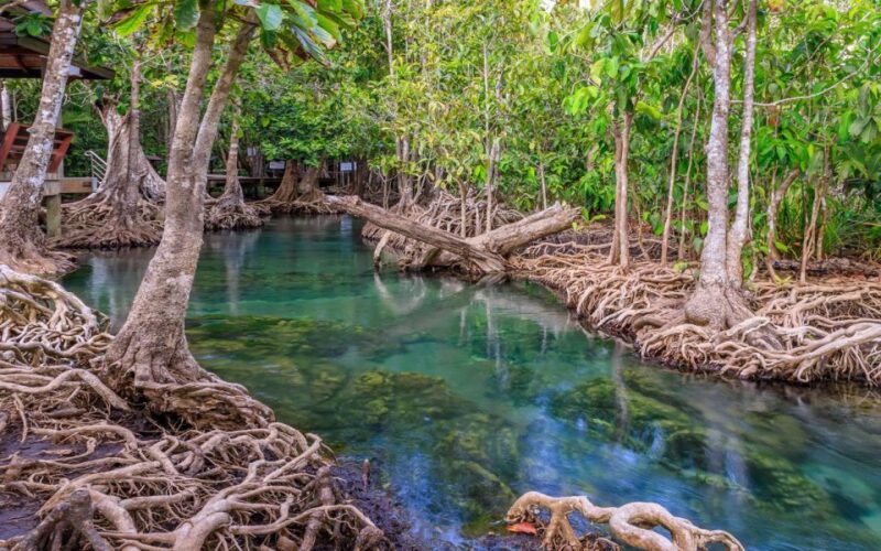 Krabi: Customizable Private Day Tour With Driver - Important Information