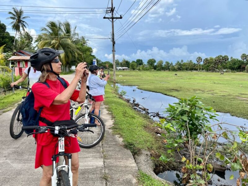 Krabi: Cycling Tour To Krabi - Key Points