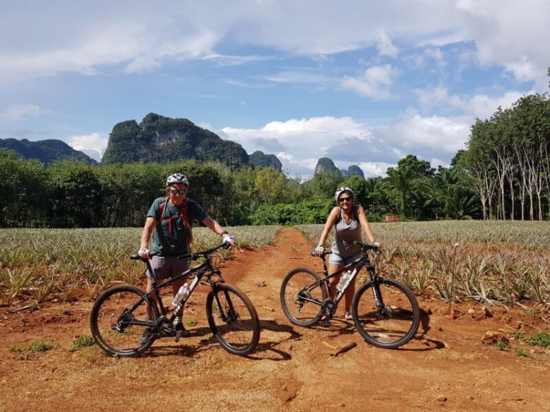 Krabi: Cycling Tour To Krabi - Bicycle and Equipment Details