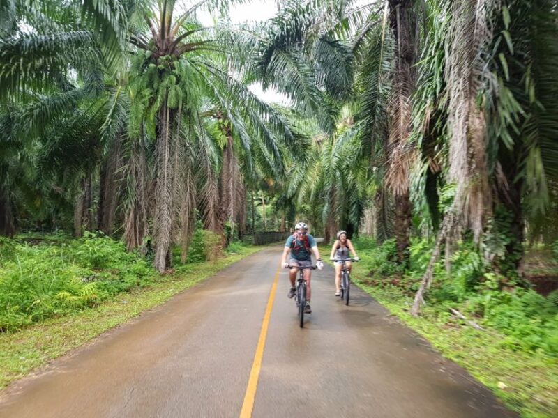 Krabi: Cycling Tour To Krabi - Customer Feedback