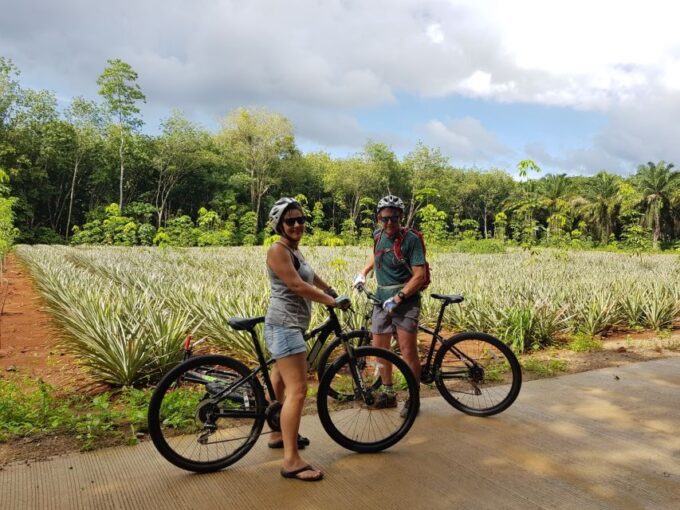 Krabi: Cycling Tour To Krabi - Safety and Sustainability