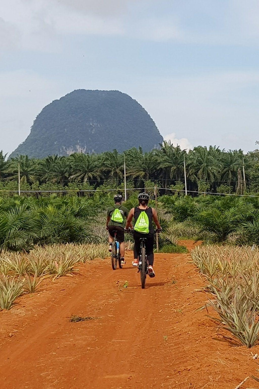 Krabi: Cycling Tour With Nature, Culture, and Fun - Key Points