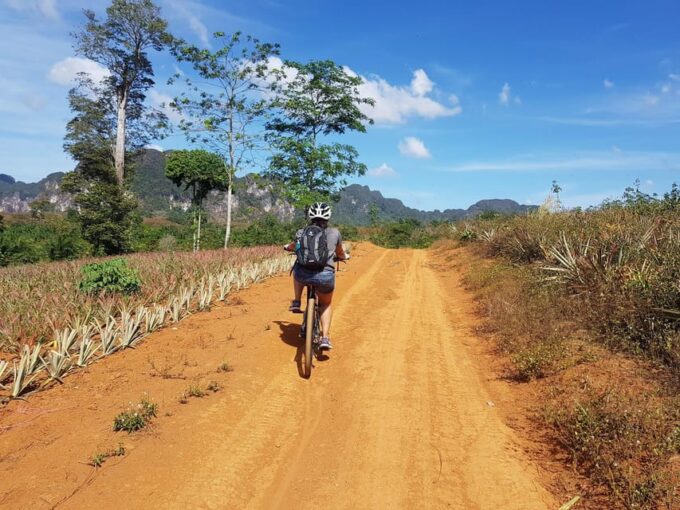 Krabi: Cycling Tour With Nature, Culture, and Fun - Frequently Asked Questions