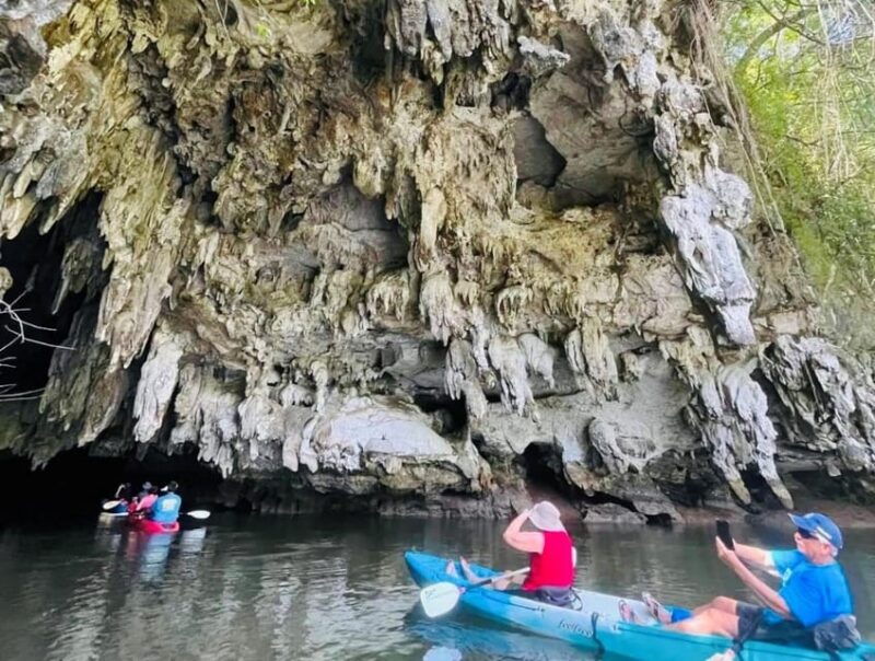 Krabi: Discover Krabis Natural Beauty With Kayaking Tour - Mangrove Forests and Limestone Cliffs