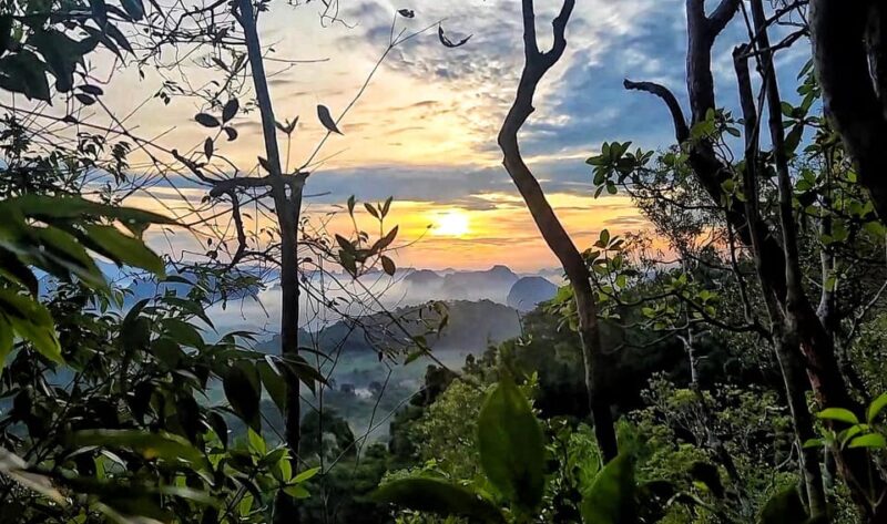 Krabi: Dragon Crest Sunrise Hike &Klong Root Kayak Adventure - Kayaking at Klong Root