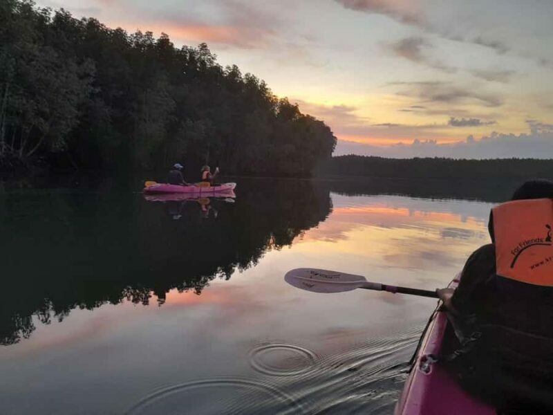 Krabi: Early bird kayak through Ao Thalane on private guide - Wildlife and Unexpected Encounters